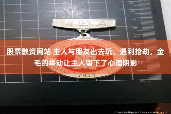 股票融资网站 主人与朋友出去玩，遇到抢劫，金毛的举动让主人留下了心理阴影