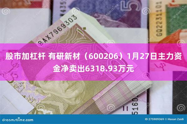 股市加杠杆 有研新材（600206）1月27日主力资金净卖出6318.93万元
