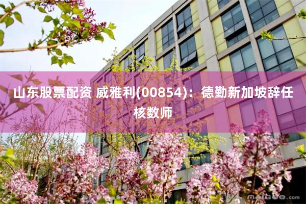 山东股票配资 威雅利(00854)：德勤新加坡辞任核数师