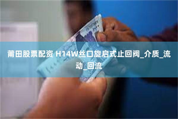 莆田股票配资 H14W丝口旋启式止回阀_介质_流动_回流