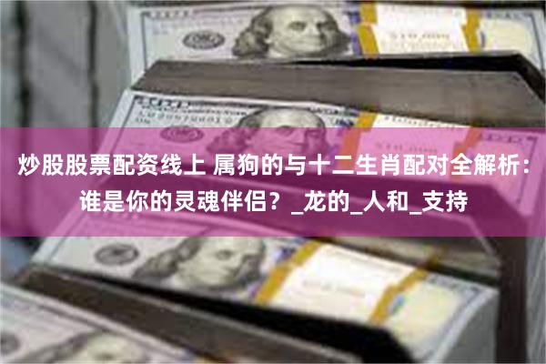 炒股股票配资线上 属狗的与十二生肖配对全解析：谁是你的灵魂伴侣？_龙的_人和_支持