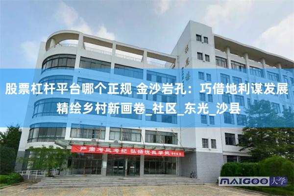 股票杠杆平台哪个正规 金沙岩孔：巧借地利谋发展 精绘乡村新画卷_社区_东光_沙县