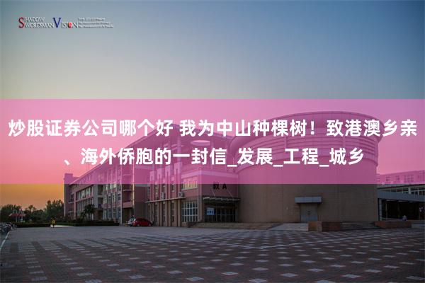 炒股证券公司哪个好 我为中山种棵树！致港澳乡亲、海外侨胞的一封信_发展_工程_城乡