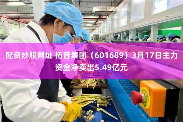 配资炒股网址 拓普集团（601689）3月17日主力资金净卖出5.49亿元