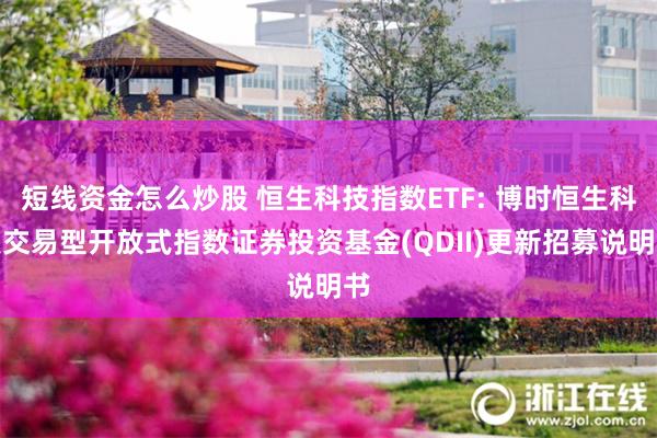 短线资金怎么炒股 恒生科技指数ETF: 博时恒生科技交易型开放式指数证券投资基金(QDII)更新招募说明书