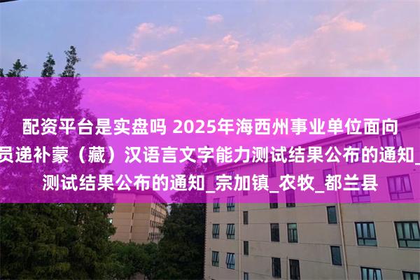 配资平台是实盘吗 2025年海西州事业单位面向社会公开招聘工作人员递补蒙（藏）汉语言文字能力测试结果公布的通知_宗加镇_农牧_都兰县