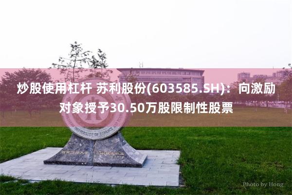 炒股使用杠杆 苏利股份(603585.SH)：向激励对象授予30.50万股限制性股票