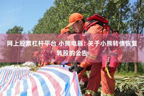 网上股票杠杆平台 小熊电器: 关于小熊转债恢复转股的公告