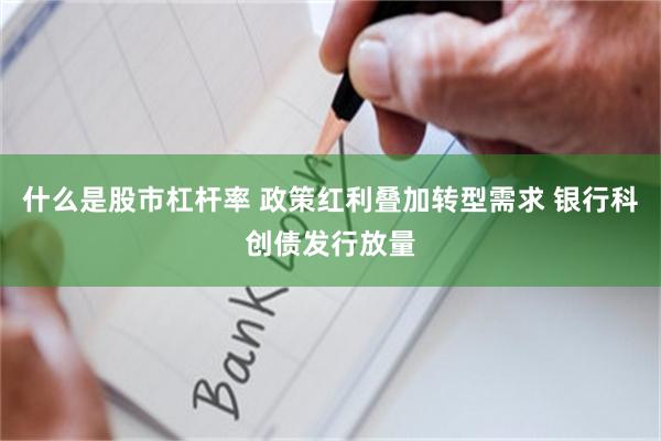 什么是股市杠杆率 政策红利叠加转型需求 银行科创债发行放量