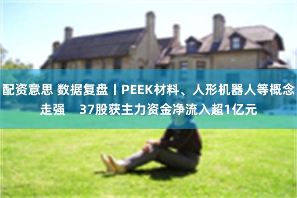 配资意思 数据复盘丨PEEK材料、人形机器人等概念走强    37股获主力资金净流入超1亿元