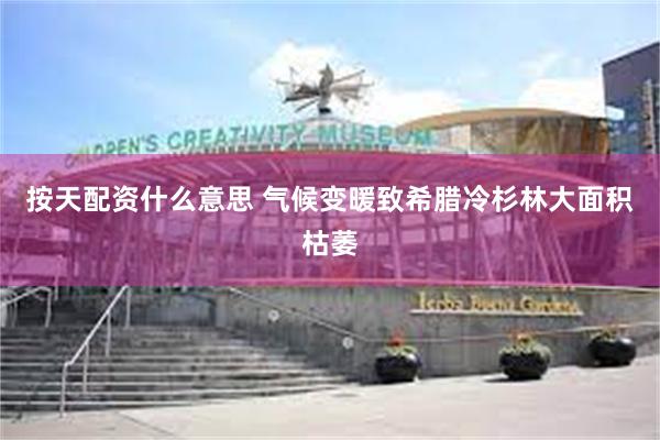 按天配资什么意思 气候变暖致希腊冷杉林大面积枯萎