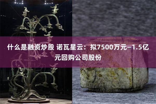 什么是融资炒股 诺瓦星云：拟7500万元—1.5亿元回购公司股份