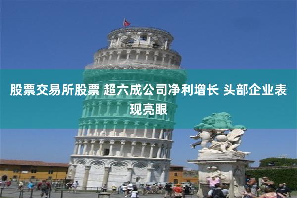 股票交易所股票 超六成公司净利增长 头部企业表现亮眼