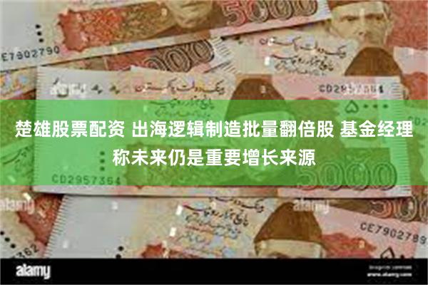 楚雄股票配资 出海逻辑制造批量翻倍股 基金经理称未来仍是重要增长来源