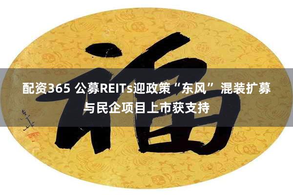 配资365 公募REITs迎政策“东风” 混装扩募与民企项目上市获支持