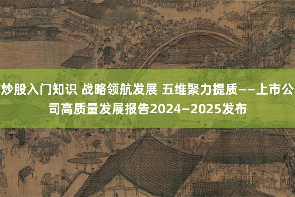炒股入门知识 战略领航发展 五维聚力提质——上市公司高质量发展报告2024—2025发布