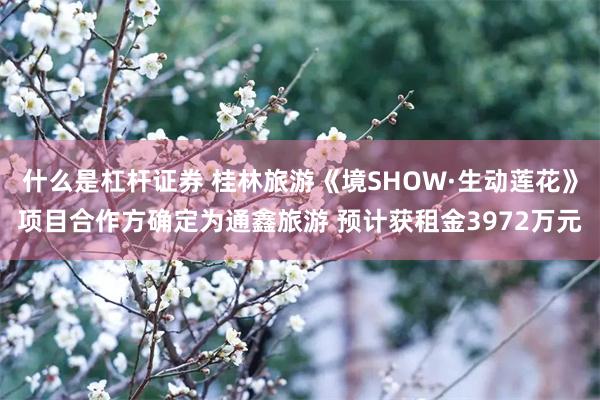 什么是杠杆证券 桂林旅游《境SHOW·生动莲花》项目合作方确定为通鑫旅游 预计获租金3972万元