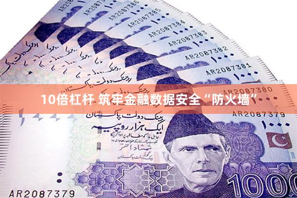 10倍杠杆 筑牢金融数据安全“防火墙”